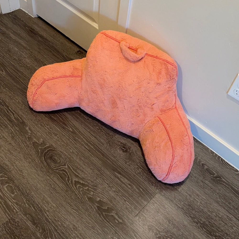 Pink Chair Pillow
